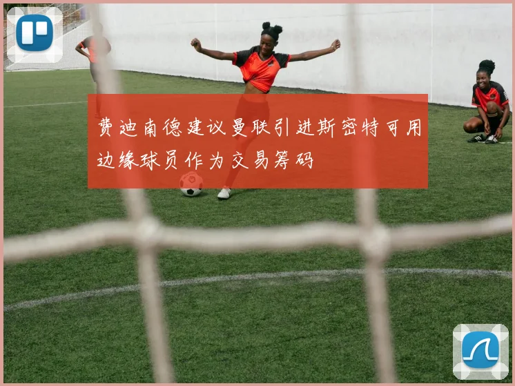 费迪南德建议曼联引进斯密特可用边缘球员作为交易筹码